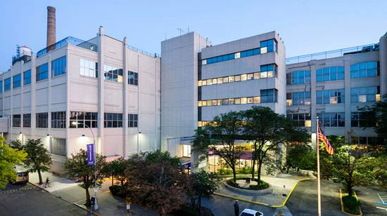 Top 6 Large Hospitals Popular Among Brooklyn Residents - Brooklyn - 2
