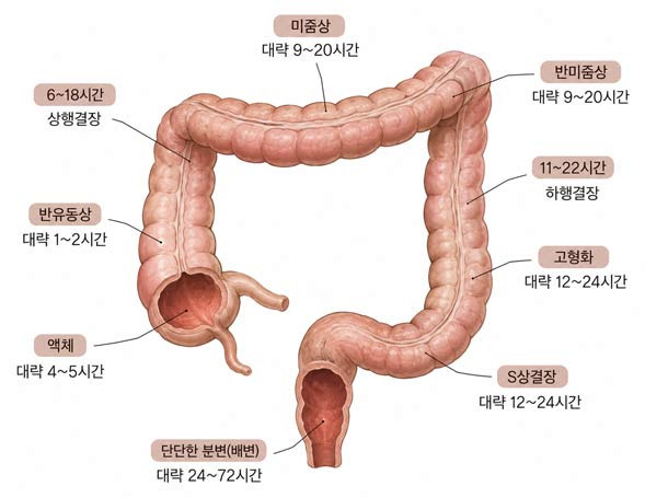 Constipation is often a signal from your body - Riverside - 1