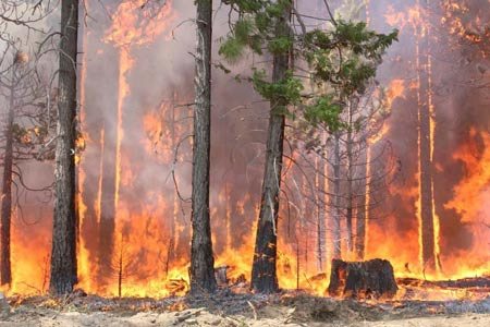 Wildfires in the American West Have Already Burned Over 135,000 Acres - Los Angeles - 1