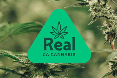 Can Tourists Now Buy Marijuana in California? - Los Angeles - 1