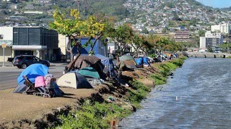 Are the Homeless in Hawaii Really People Who Flew in from the Mainland? - Honolulu - 1