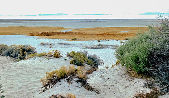 트럼프가 솔트레이크 호수에 10억 달러를 쓴다고 합니다 - Salt Lake City - 3