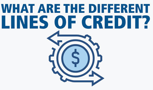 A Person Who Grew Their Business Fourfold with a $600,000 Line of Credit - Palisades Park - 1