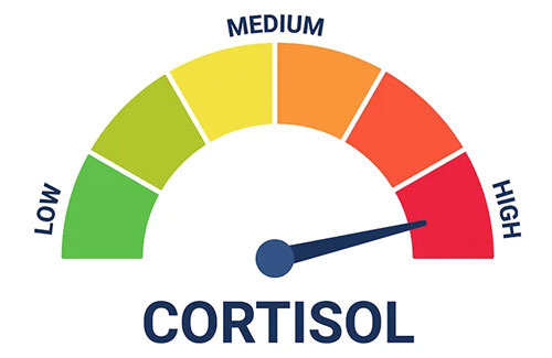 The Saying That Stress Kills People: The Culprit is Cortisol - Los Angeles - 1