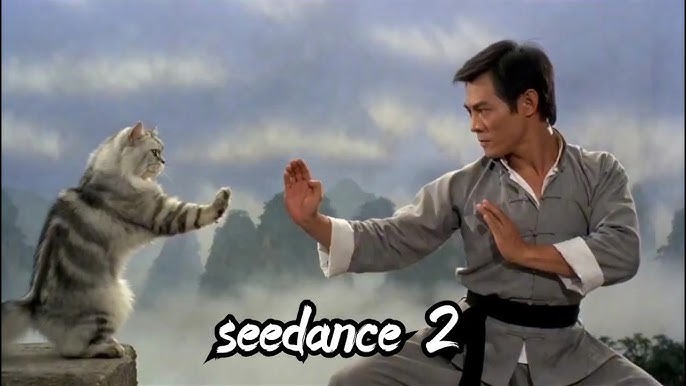 AI 생성 동영상으로 뜨고있는 고양이 무술영상 밈 - San Francisco - 1