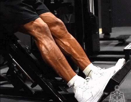 남자 종아리가 광이 나고 맨질맨질해 보이는 원인 - Austin - 1