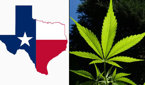 What Happens If You Bring Marijuana from Another State and Smoke It in a Dallas Park? - Dallas - 1