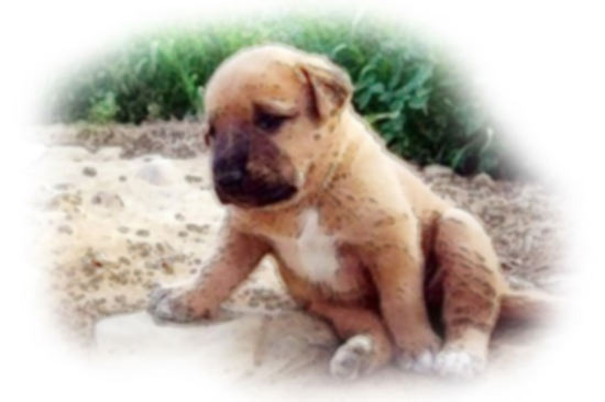 팔자는 안 바뀌는 걸까. 돌싱인 내가 깨달은 연애의 현실 - Atlanta - 1