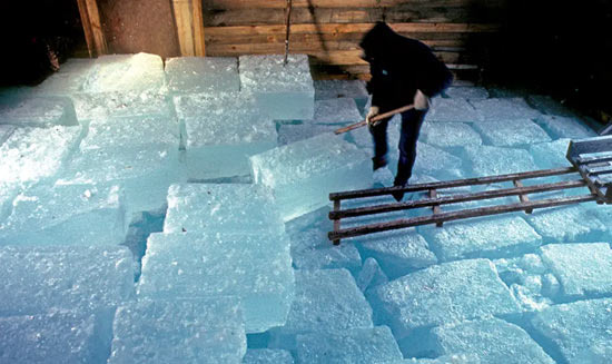 19세기 미국에서 얼음판매 종사자가 9만명이 넘었다는데? - Boston - 1