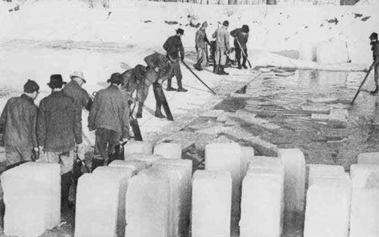 19세기 미국에서 얼음판매 종사자가 9만명이 넘었다는데? - Boston - 2