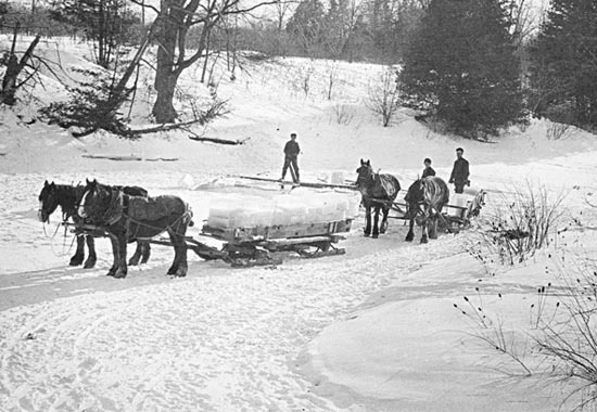 19세기 미국에서 얼음판매 종사자가 9만명이 넘었다는데? - Boston - 4