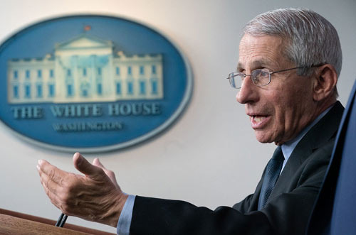 Reasons Why a COVID Hero Invoked the Fifth Amendment at a Senate Hearing - San Francisco - 1