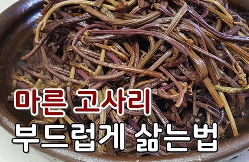 Tips for Preparing Dried Fernbrake - San Fernando - 1