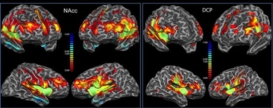 치어리더를 볼 때 와이프 옆에서 표정관리하는 남편들 - Dallas - 2