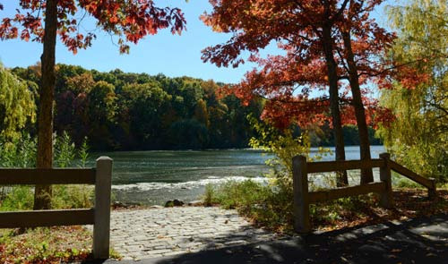 Great Jogging Routes in Queens Village - Queens Village - 2