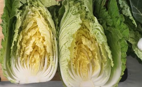 A Kimchi Expert Chooses the Right Cabbage First: How to Make Kimchi Without Fail - Santa Monica - 3