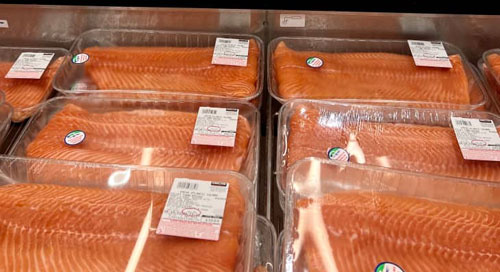 Can You Just Eat Costco Salmon as Sashimi? - San Fernando - 1