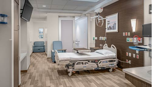Moffitt Cancer Center: A Renowned Cancer Treatment Hospital in Tampa - Tampa - 1