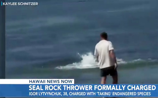 Man Who Abused Sea Lions and Boasted 'I Have Money' Charged by Federal Prosecutors - Honolulu - 1