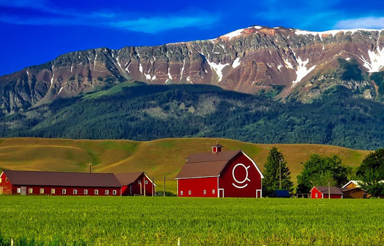 에스컬레이터 없는 동네, 이게 진짜 미국 시골이에요 - Anaheim - 1