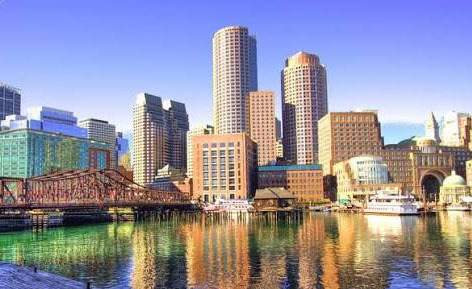 Boston Bugs, Allergies, and Endemic Diseases: What You Should Know - Boston - 1