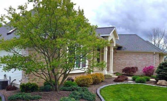 Average Home Prices by Area in Grand Rapids - Grand Rapids - 1