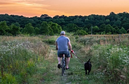 A Complete Guide to Walking and Exercising in Kansas City - Kansas City - 1