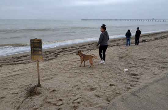 Imperial Beach Sewage Closure: The Air is Scarier than the Water - San Diego - 1