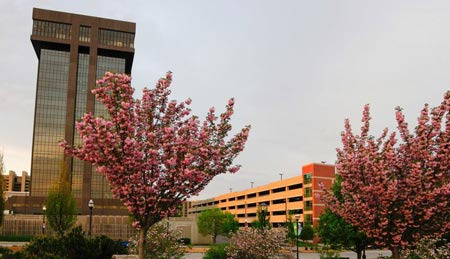 Springfield MO Weather and Seasonal Information - Springfield - 1