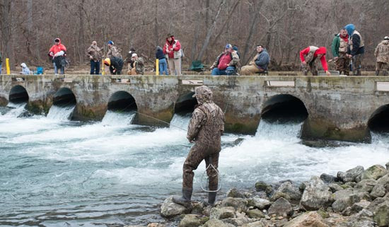Camping and Outdoor Guide Near Springfield, MO - Springfield - 2