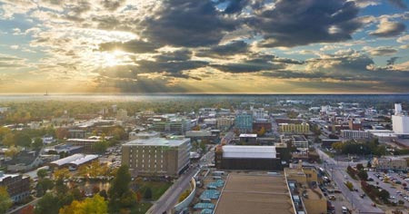 Pest, Allergy, and Endemic Disease Information to Know Before Moving to Springfield, MO - Springfield - 1
