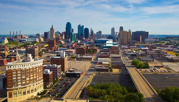 Essential Information on Bugs, Allergies, and Endemic Diseases for Kansas City Residents - Kansas City - 1