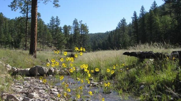 Which Campgrounds and Nature Parks Near Albuquerque Are the Best? - Albuquerque - 1