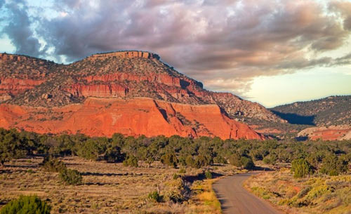 Understanding New Mexico's Food Culture - Albuquerque - 1