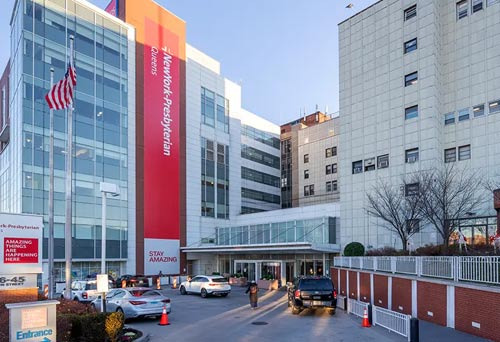 Healthcare Infrastructure and Three Major Hospitals in Flushing - Flushing - 1
