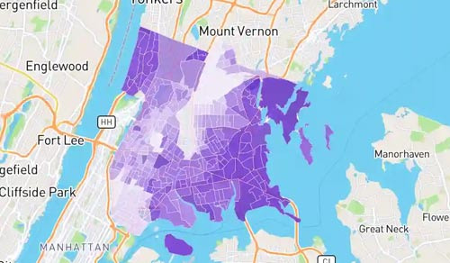 Why Koreans Are Surprisingly Settling Well in the Bronx - Bronx - 1