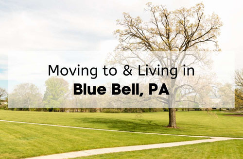 Housing Prices in Blue Bell, Montgomery County, Pennsylvania - Blue Bell - 1