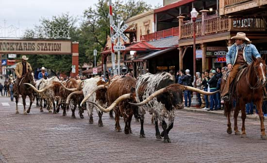 A Tourist Guide for First-Time Visitors to Fort Worth - Fort Worth - 1