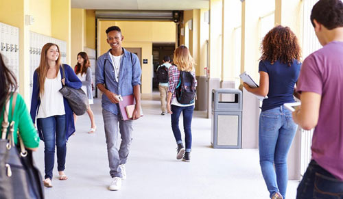 Annandale VA Korean Community Preferred School District and School Ratings Information - Annandale - 1