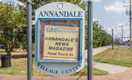 Housing Prices in Annandale at $700,000: Where Do Residents' Incomes Come From? - Annandale - 1