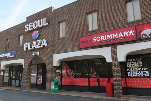 Annandale Korean Business: Why This Neighborhood is a Koreatown - Annandale - 1