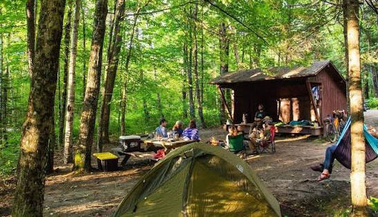 Burke VA Camping, Information on Burke Lake Park Campground - Burke - 1