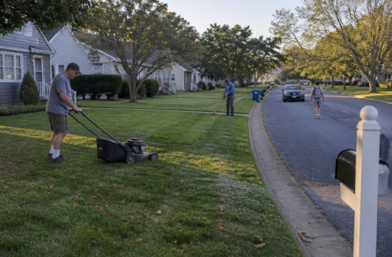 Why Are Americans So Serious About Lawns? A History of Lawn Obsession - Fairfax - 1
