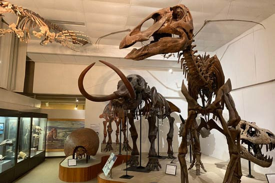 Review of Visiting the Chazen Museum of Art - Madison - 3