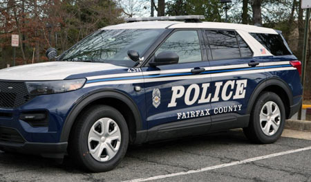 Honest Analysis of Crime Data from Annandale: From Murder Rates to Vehicle Theft - Annandale - 1