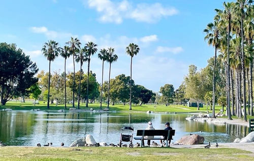 Affordable Living Strategies in Irvine: How to Live Smart in an Expensive City - Irvine - 1