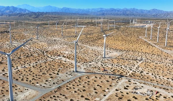 Natural Disasters in Palm Springs: Earthquakes, Extreme Heat, Flash Floods, and High Winds Guide - Palm Springs - 1