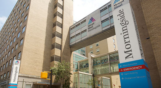 The Hub of Medical Research in New York, Mount Sinai Hospital - New York - 2