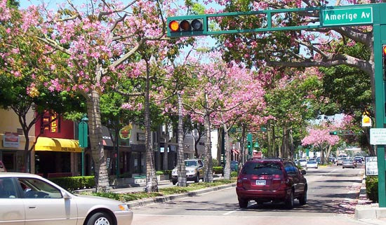 Pros and Cons of Settling in Fullerton - Fullerton - 1