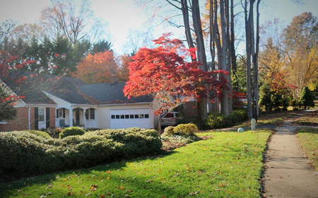 Annandale Rent: Overview of Affordable Neighborhoods and Price Trends - Annandale - 1